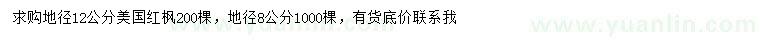 求購地徑8、12公分美國紅楓