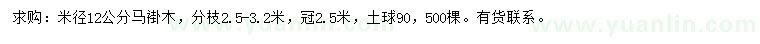 求購米徑12公分馬褂木