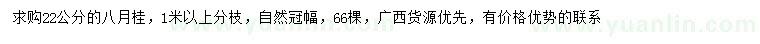 求購22公分八月桂