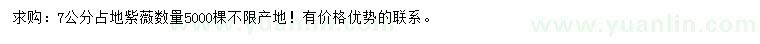 求購7公分紫薇