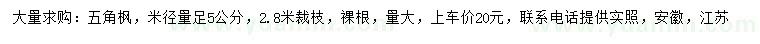 求購(gòu)米徑量足5公分五角楓