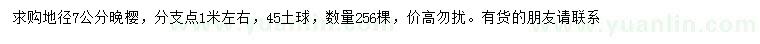 求購地徑7公分晚櫻