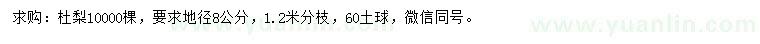求購地徑8公分杜梨