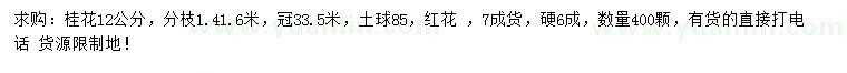 求購12公分桂花