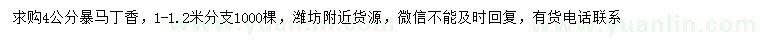 求購4公分暴馬丁香