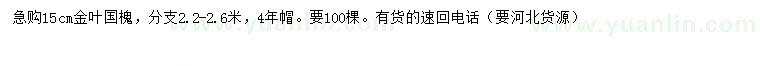求購15公分金葉國槐