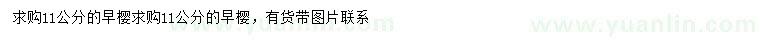 求購11公分早櫻