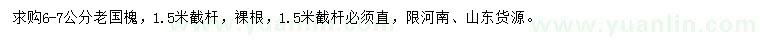 求購(gòu)6-7公分老國(guó)槐