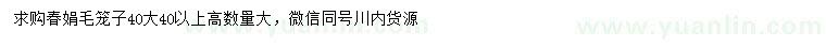 求購高40公分以上春娟毛籠子
