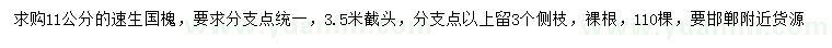 求購11公分速生國槐
