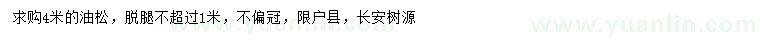 求購4米油松