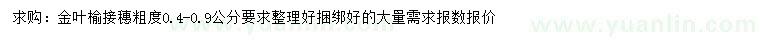 求購0.4-0.9公分金葉榆接穗