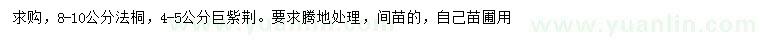 求購8-10公分法桐、4-5公分巨紫荊