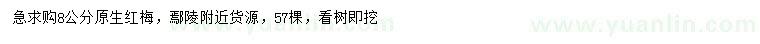 求購(gòu)8公分紅梅