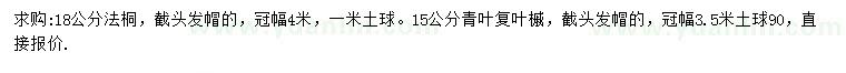 求購18公分法桐、15公分青葉復(fù)葉槭
