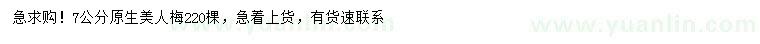 求購(gòu)7公分美人梅
