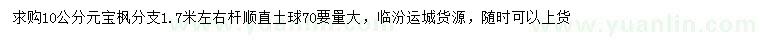 求購10公分元寶楓