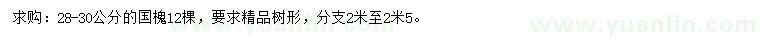 求購28-30公分國槐