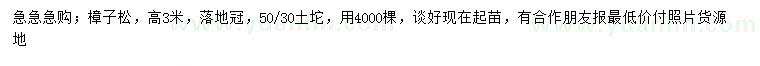 求購(gòu)高3米樟子松