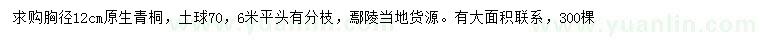 求購胸徑12公分青桐
