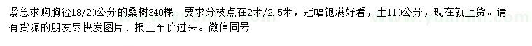 求購18、20公分桑樹