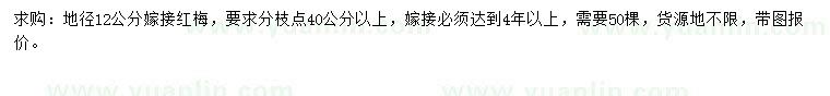 求購地徑12公分嫁接紅梅