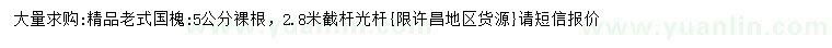 求購(gòu)5公分精品老式國(guó)槐