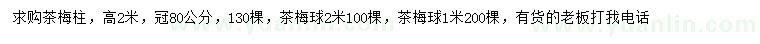 求購高2米茶梅柱