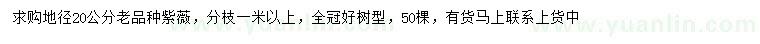 求購(gòu)地徑20公分紫薇