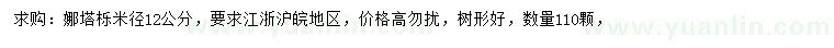 求購地徑12公分娜塔櫟