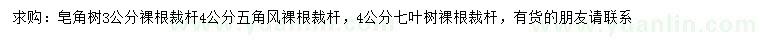 求購皂角、五角風(fēng)、七葉樹