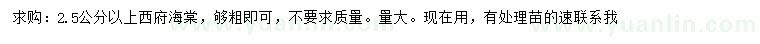 求購2.5公分以上西府海棠