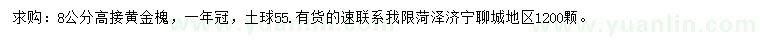 求購8公分高接黃金槐