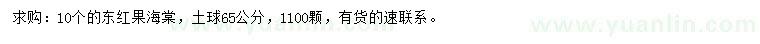 求購10個東紅果海棠