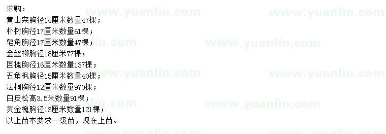 求購(gòu)黃山欒、樸樹、皂角公分