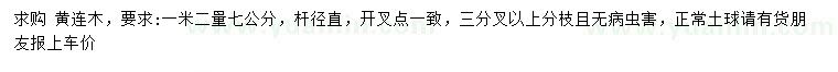 求購1.2米量7公分黃連木