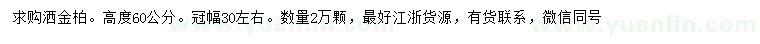 求購高60公分灑金柏