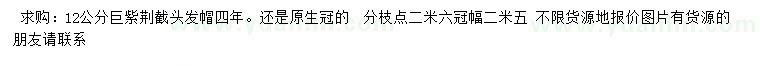 求購12公分巨紫荊