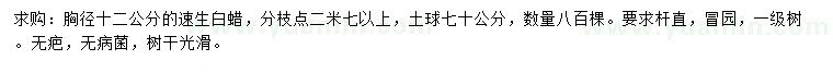 求購胸徑12公分速生白蠟