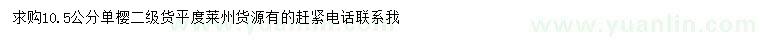 求購10.5公分單櫻