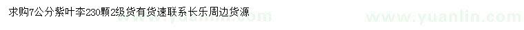 求購7公分紫葉李