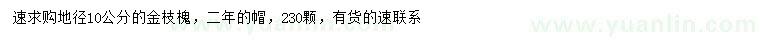 求購地徑10公分金枝槐