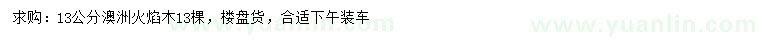 求購13公分澳洲火焰木