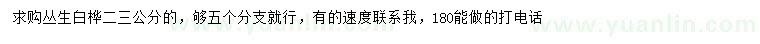 求購2、3公分叢生白樺