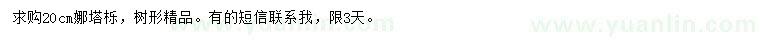 求購20公分娜塔櫟