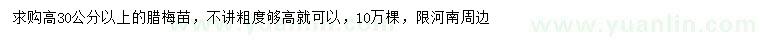 求購高30公分以上臘梅苗