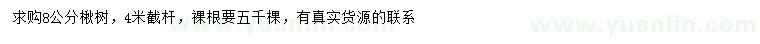 求購8公分楸樹