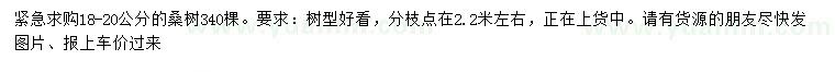 求購18-20公分桑樹