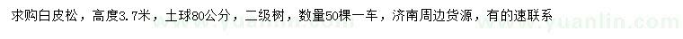 求購高3.7米白皮松