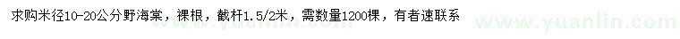 求購米徑10-20公分野海棠